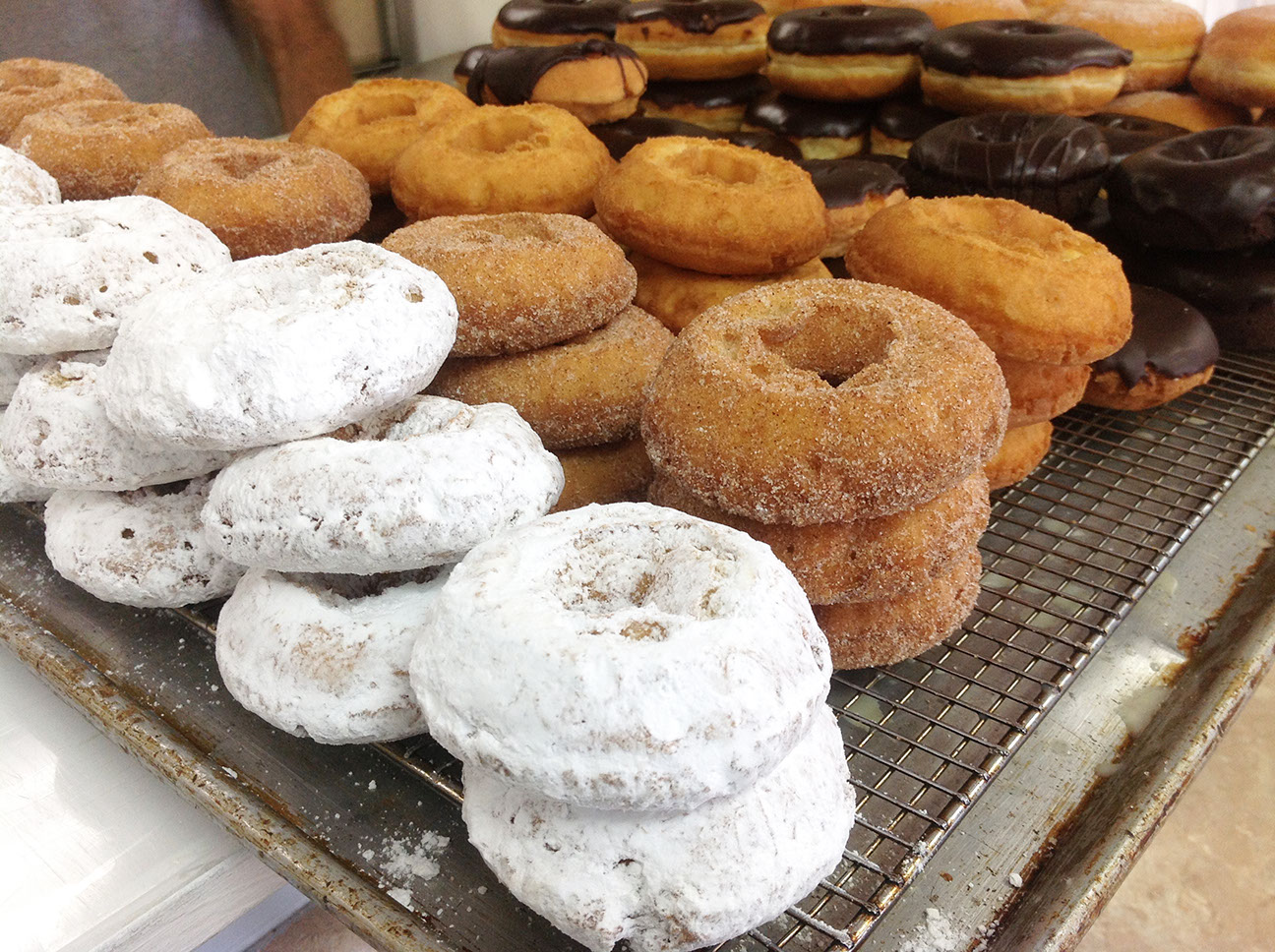 Home Pawleys Island Bakery